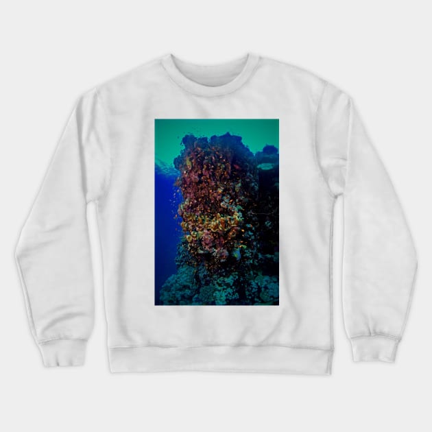 I SUFFER FROM PORITES! Crewneck Sweatshirt by dumbodancer